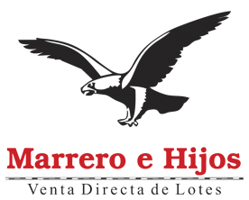 logo marrero